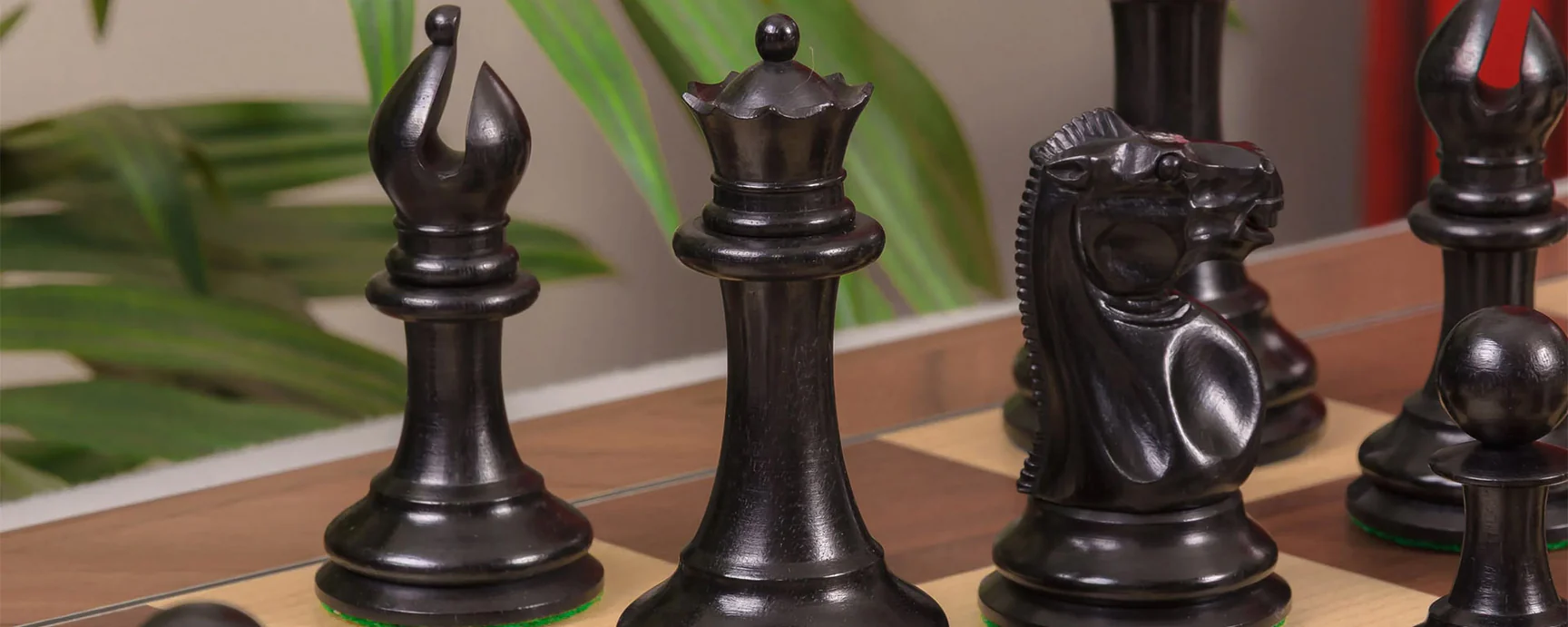 Master Your Move in Style