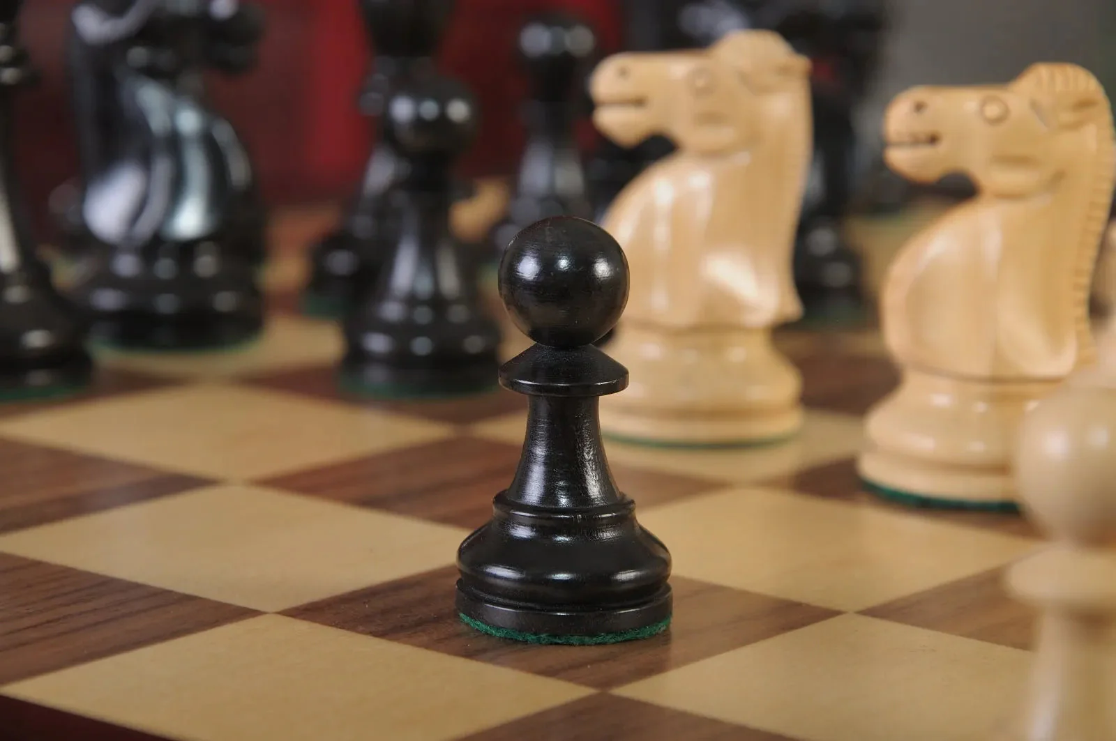 Ebonized Boxwood and Natural Boxwood - Image 4
